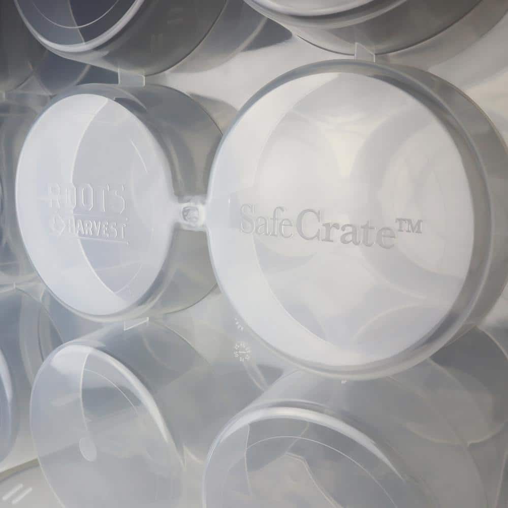 Canning Jar SafeCrate for Quart Jars - Hercitys