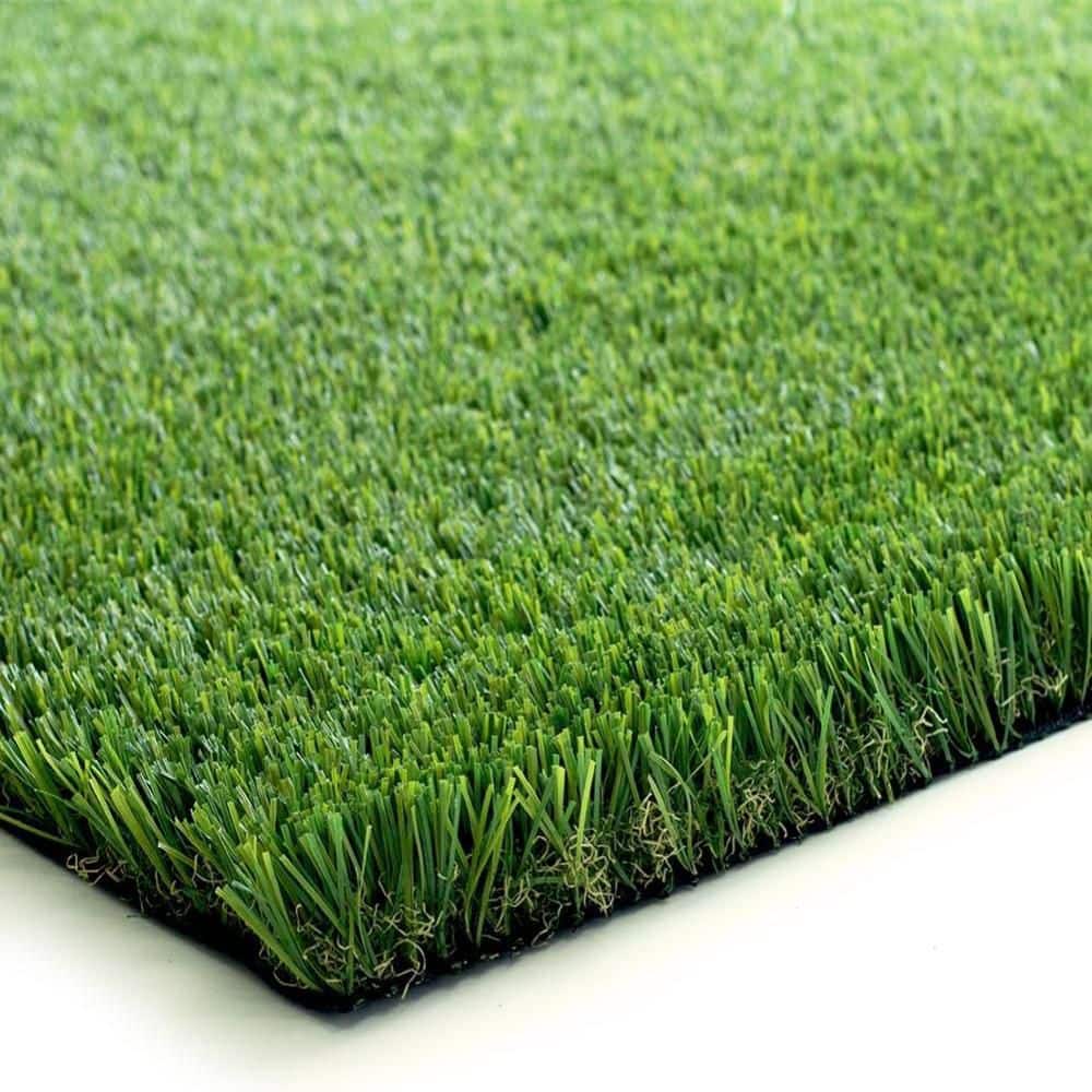 Natural Thick Realistic Deluxe 12 ft. W x Cut to Length Green Artificial Grass Turf - Hercitys