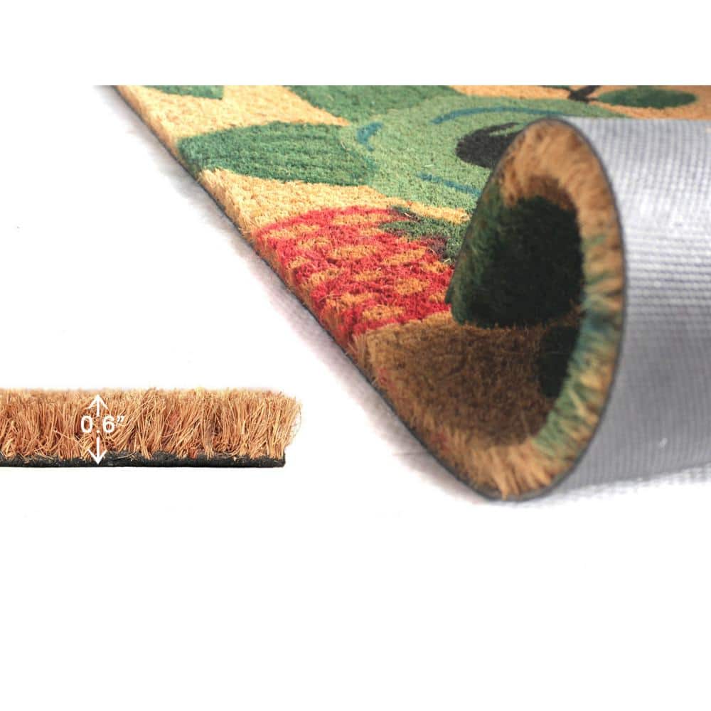 Roses Multi 30in. x 18in. Door Mat - Hercitys