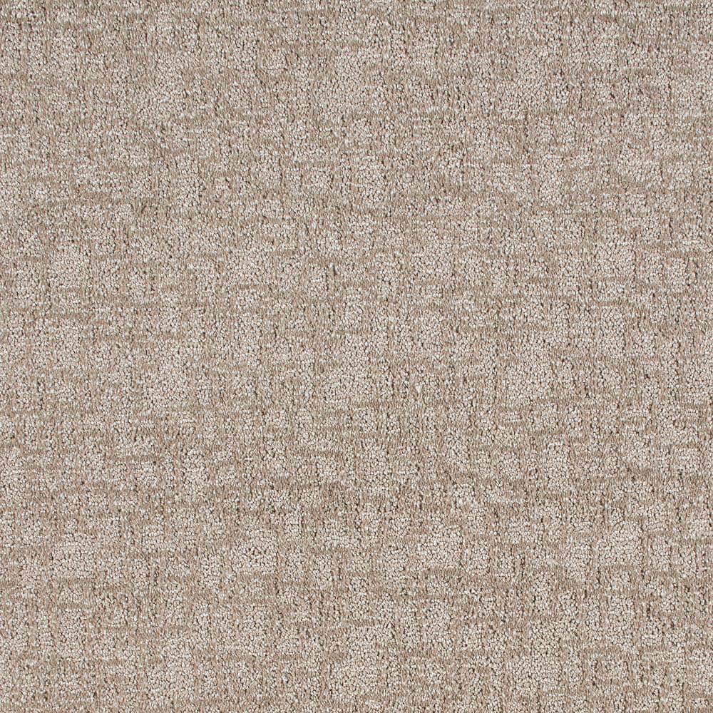 Tile & Rugs/Carpet/Beige Carpet - Hercitys