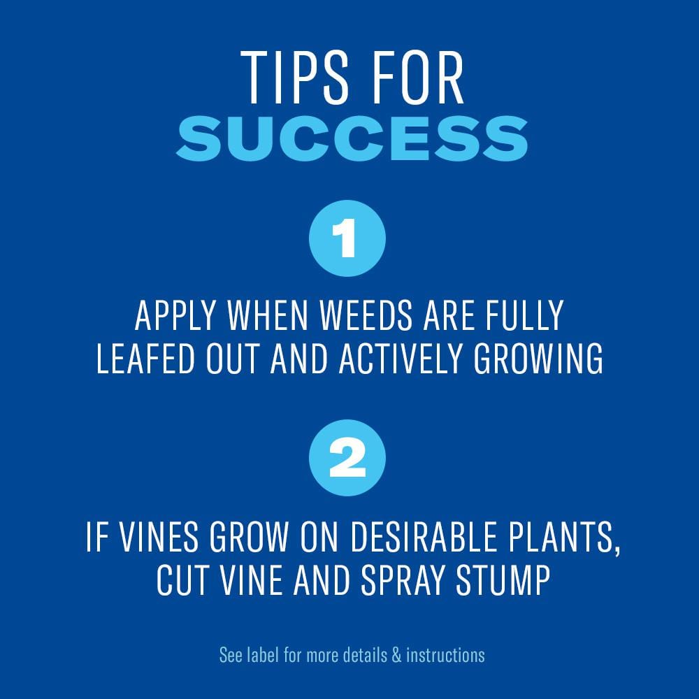 1 Gal. Ready-to-Use Brush Killer Plus - Hercitys