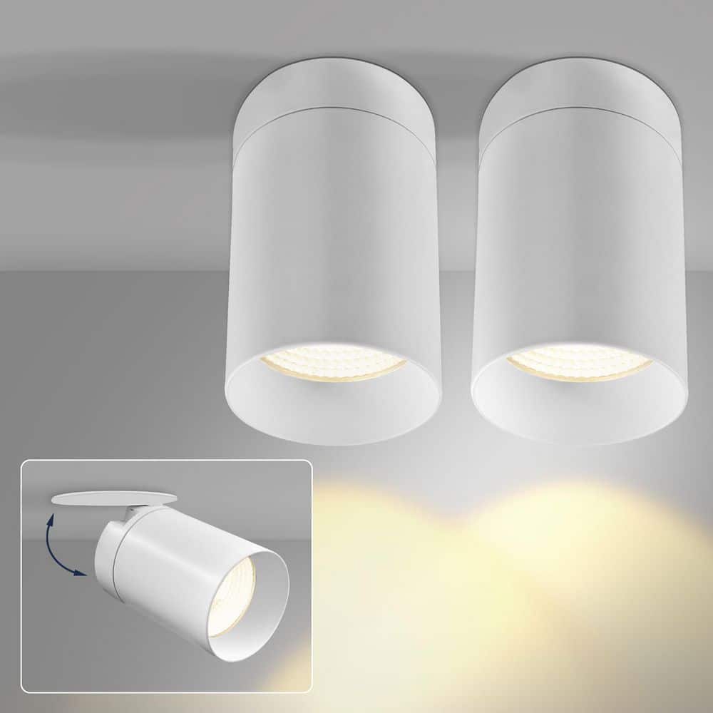 3 in. 15-Watt Color Selectable Integrated LED Cylinder Downlight Flush Mount 5CCT Dimmable 1000LM ETL White 2 Pack - Hercitys