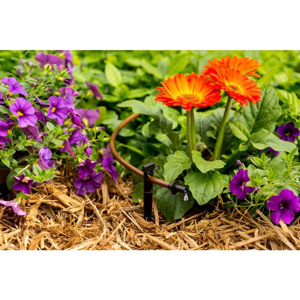 1/4 in. x 50 ft. Drip Emitter Tubing with 6 in. Spacing - Hercitys