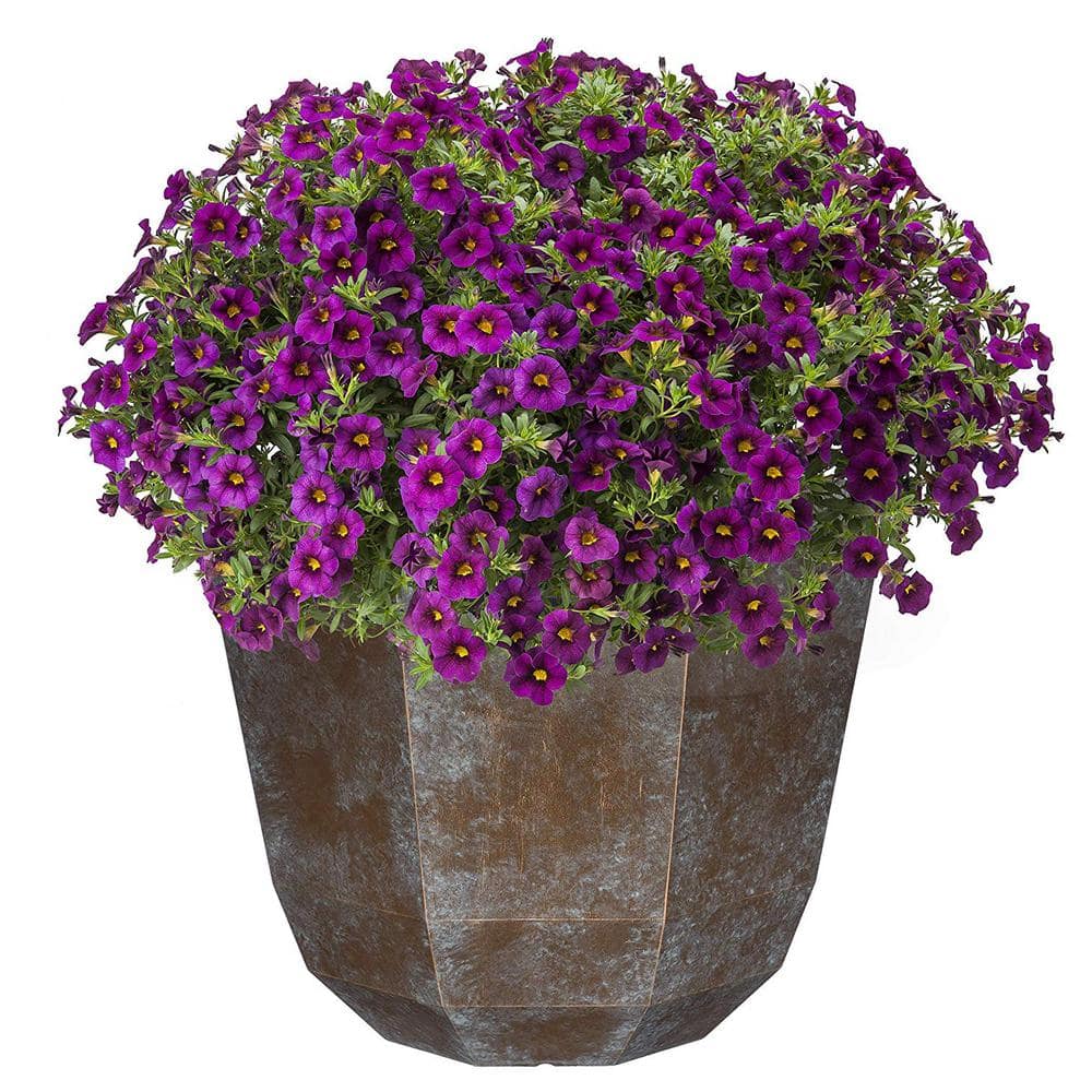 15 in. Weathered Copper Shaina Resin Planter - Hercitys