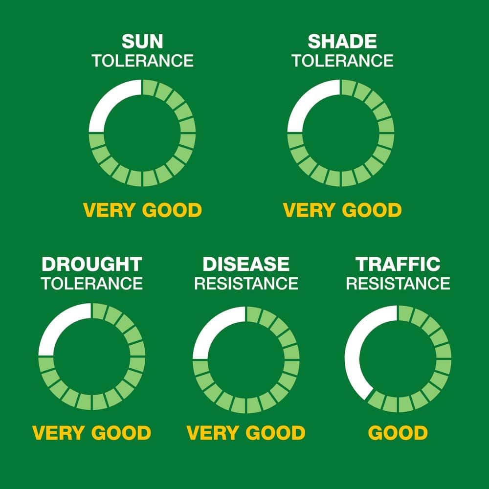 10 lbs. Patch and Repair Tall Fescue Grass Seed Mix - Hercitys