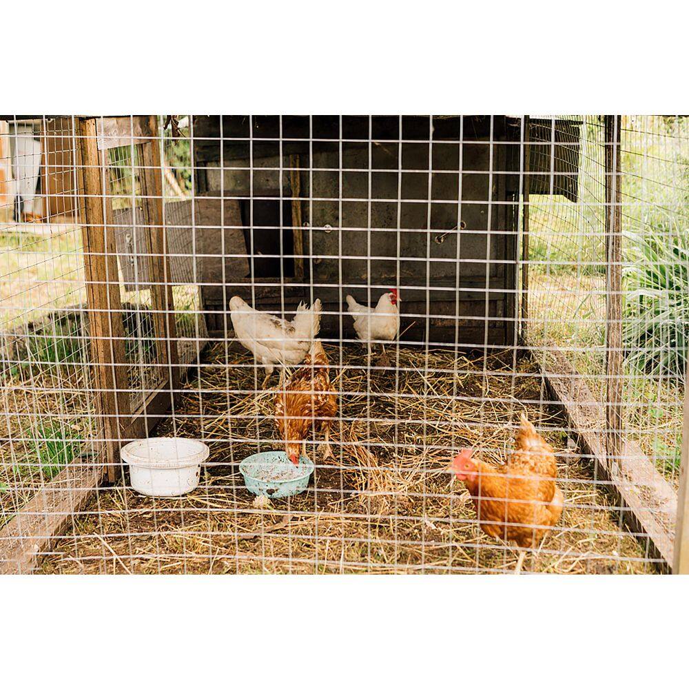 1/4 in. x 48 in. x 50 ft. Hardware Cloth Welded Silver Metal Edging Hot-Dip Galvanized Chicken Wire Fence Garden Plant - Hercitys