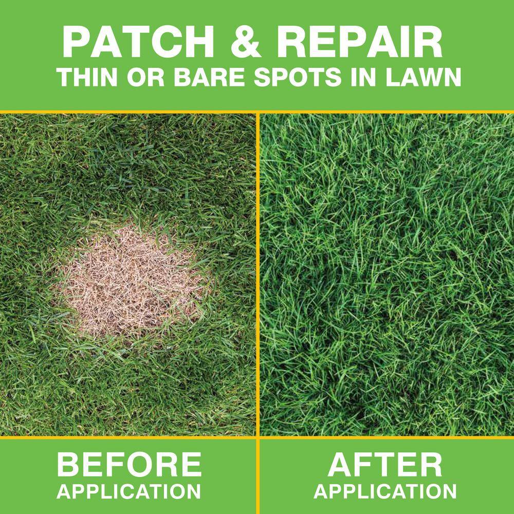 10 lbs. Patch and Repair Tall Fescue Grass Seed Mix - Hercitys