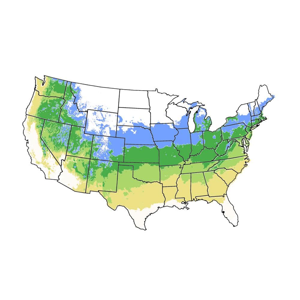 5 Gal. Green Gage Plum Tree - Hercitys