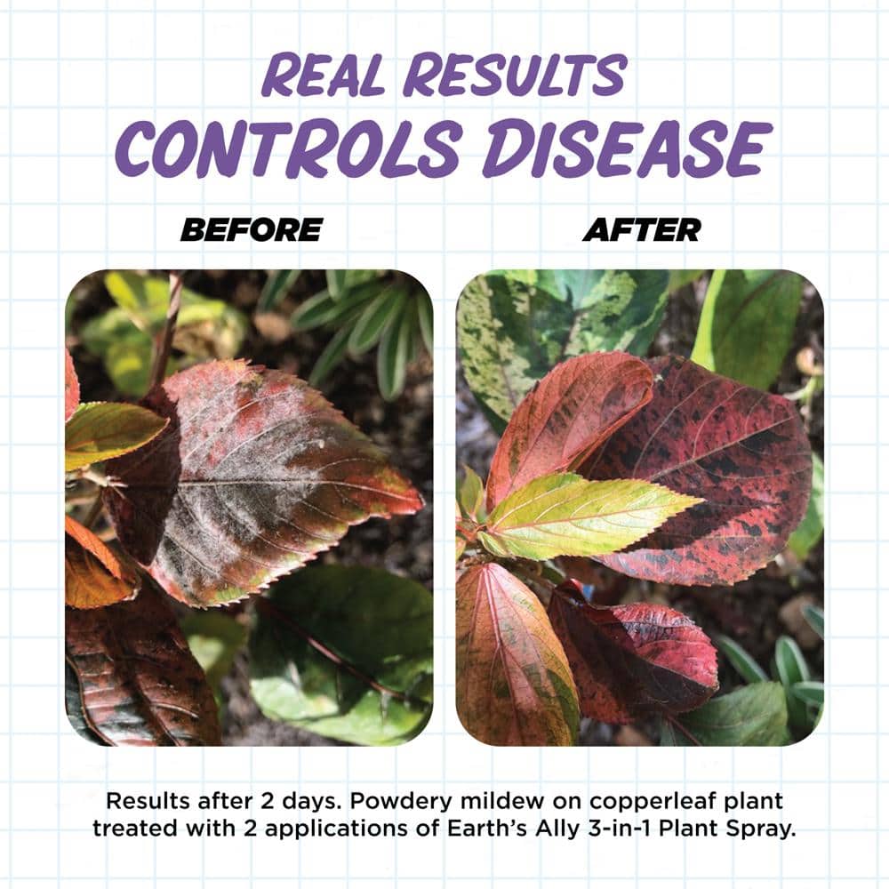 1 qt. Concentrate Insecticide, Miticide, Fungicide 3-in-1 Plant Spray - Hercitys