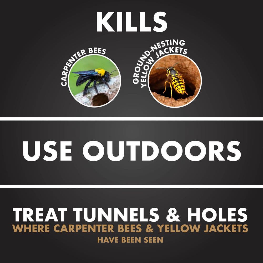 16 oz. Aerosol Carpenter Bee and Ground-Nesting Yellow Jacket Insect Killer Foam (4-Pack) - Hercitys