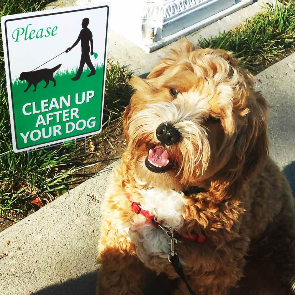 12 in. x 9 in. Clean Up After Your Dog Yard Sign, No Pooping Peeing Dogs Lawn Signs - Hercitys