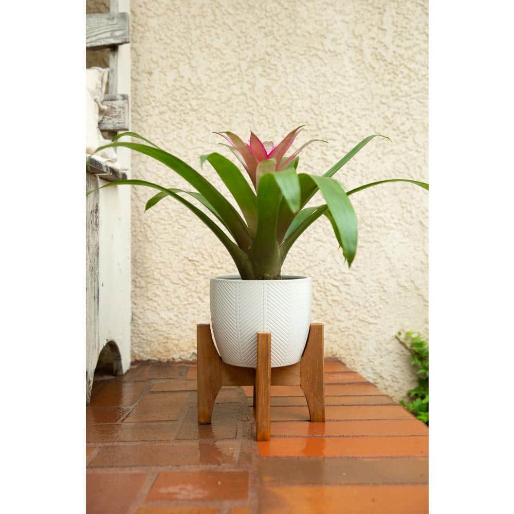 10 in. and 6.6 in. Matte White Chevron Ceramic Plant Pot on Wood Stand Stand Mid Century Planter (Set of 2) - Hercitys