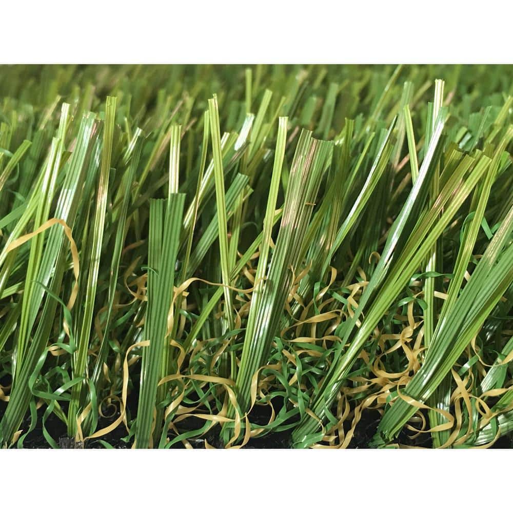3D-W Premium 65 Fescue 15 ft. Wide x Cut to Length Green Artificial Grass Carpet - Hercitys