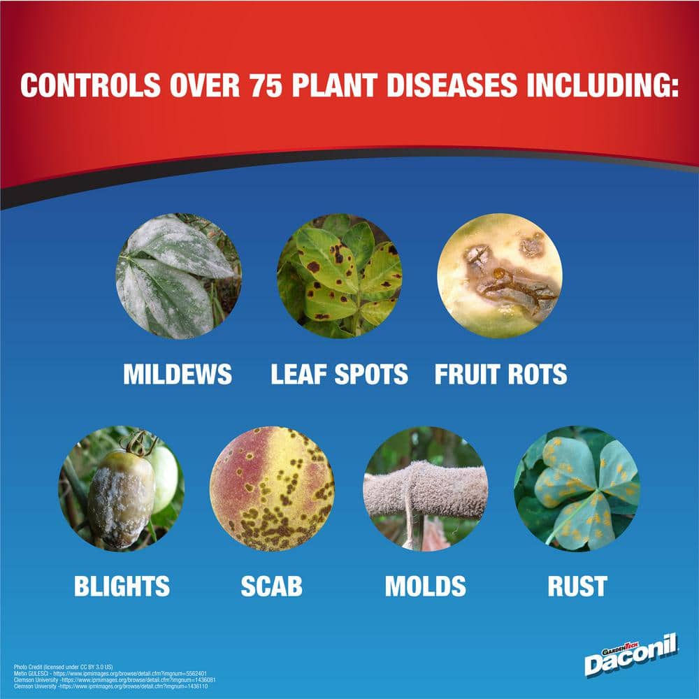 16 oz. Concentrate Fungicide - Hercitys