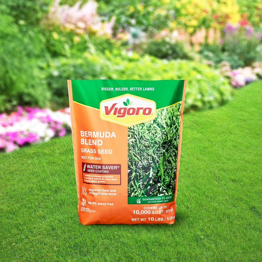 10 lbs. Bermuda Grass Seed Blend with Water Saver Seed Coating - Hercitys