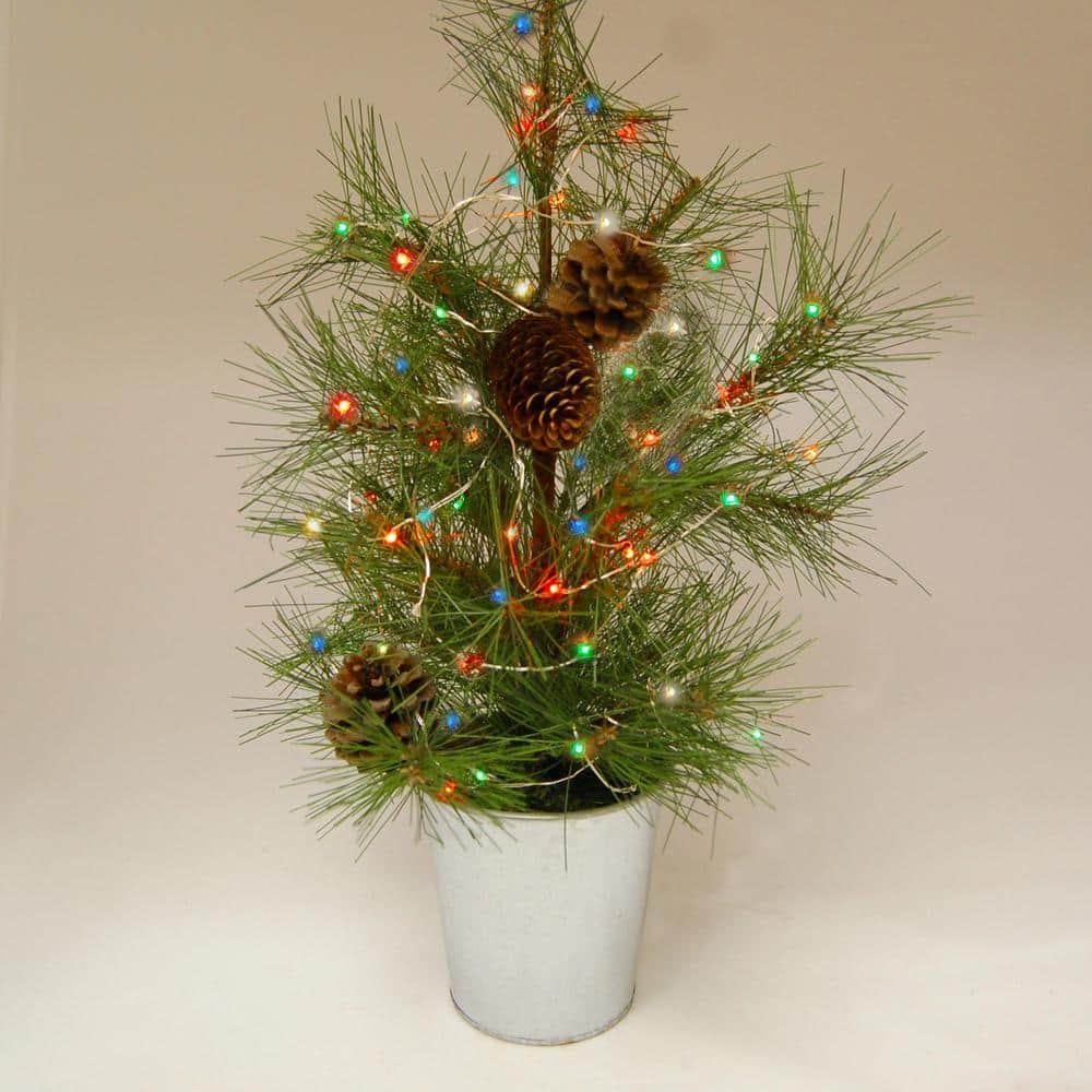 50-Light LED Light Bulbs Multi-Color Battery Operated Fairy String Lights LED Twinkling (Set of 2) - Hercitys