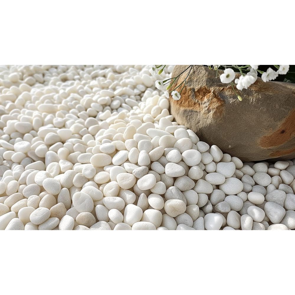 0.40 cu. ft. 0.5 in. to 1.5 in. 30 lbs. Grade A White Polished River Pebbles - Hercitys