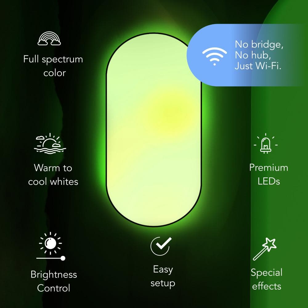 26 in. Oval Capsule Smart Black Multi-Color WiFi Selectable LED Flush Mount Ceiling Light Works Alexa/Hey Google/HomeKit - Hercitys