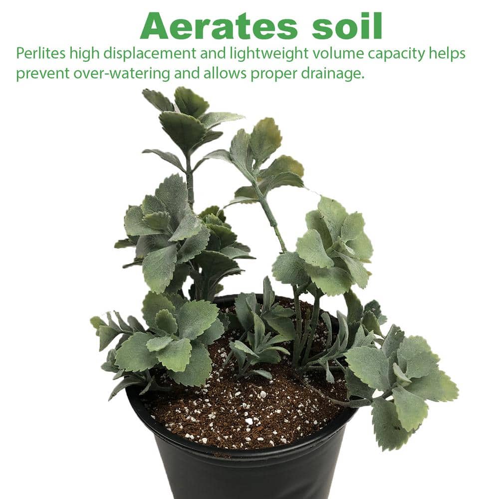 1 cu. ft./29.9 Qt. Organic White Perlite Planting Soil Additive and Growing Medium (2-Pack) - Hercitys