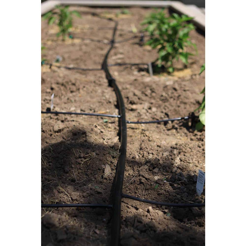 1/4 in. x 100 ft. Distribution Tubing - Hercitys