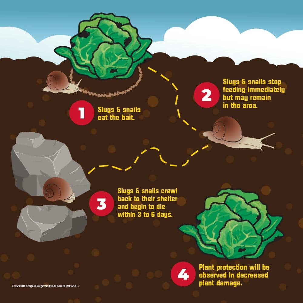 1.75 lbs. Slug and Snail Killer (2-Pack) - Hercitys