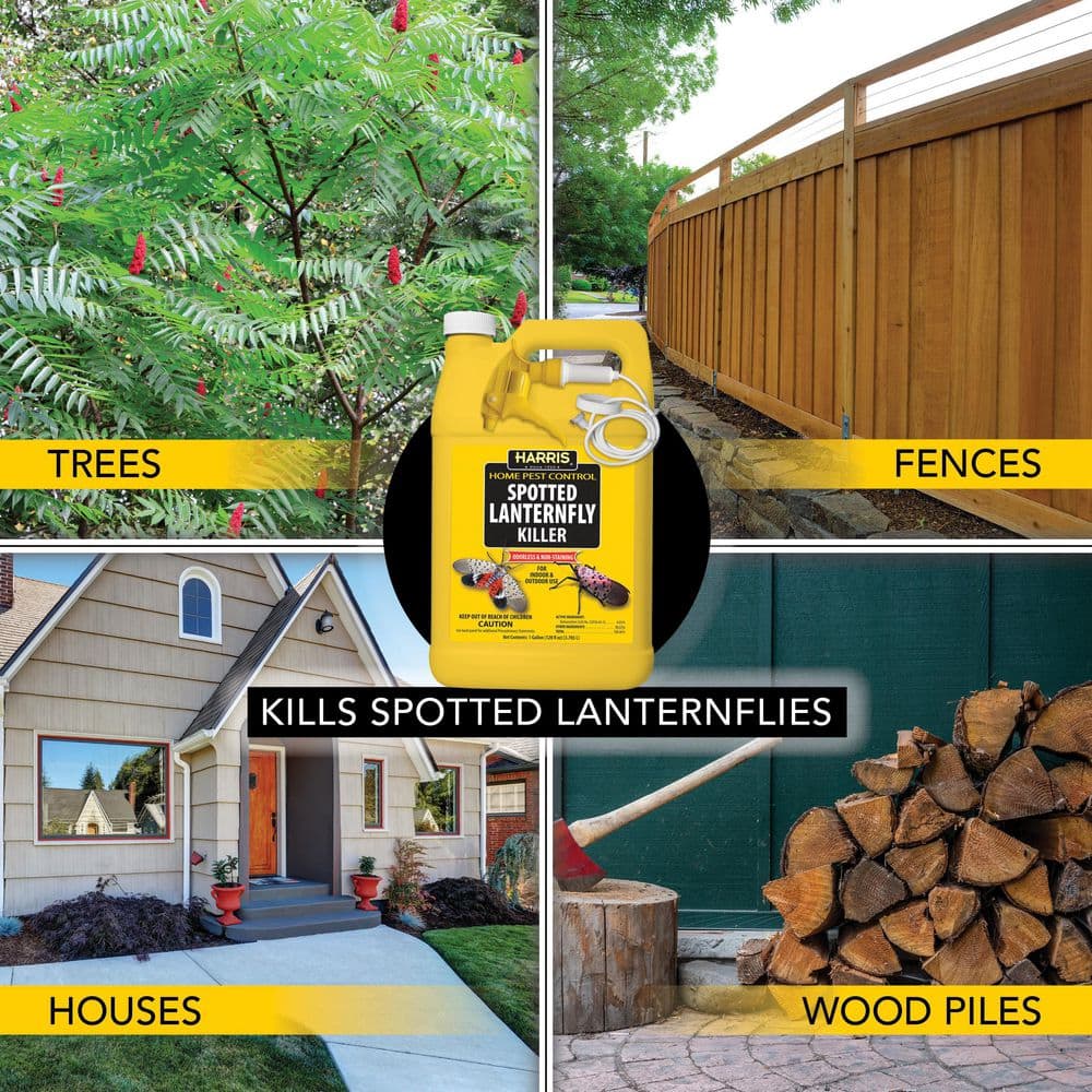 1 Gal. Spotted Lanternfly Killer (2-Pack) - Hercitys