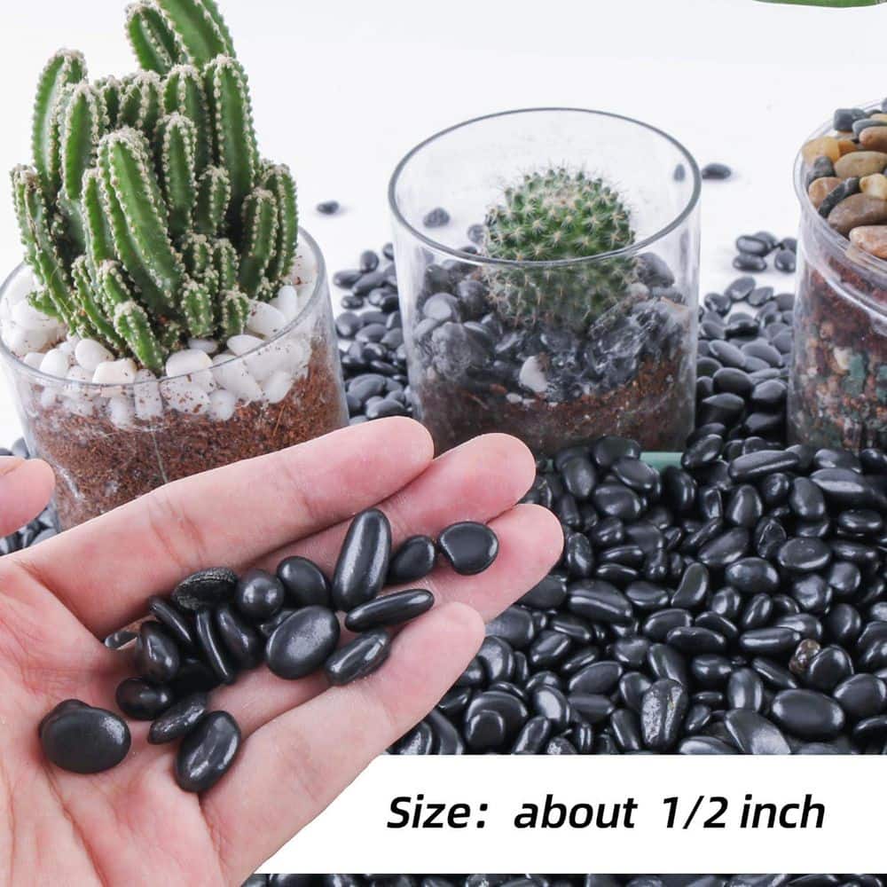 1/4 in. Black Small Polished Gravel Rock Pebbles for Plants, Potting, Succulents and Aquarium Fish Tank, 18 lbs. Bag - Hercitys