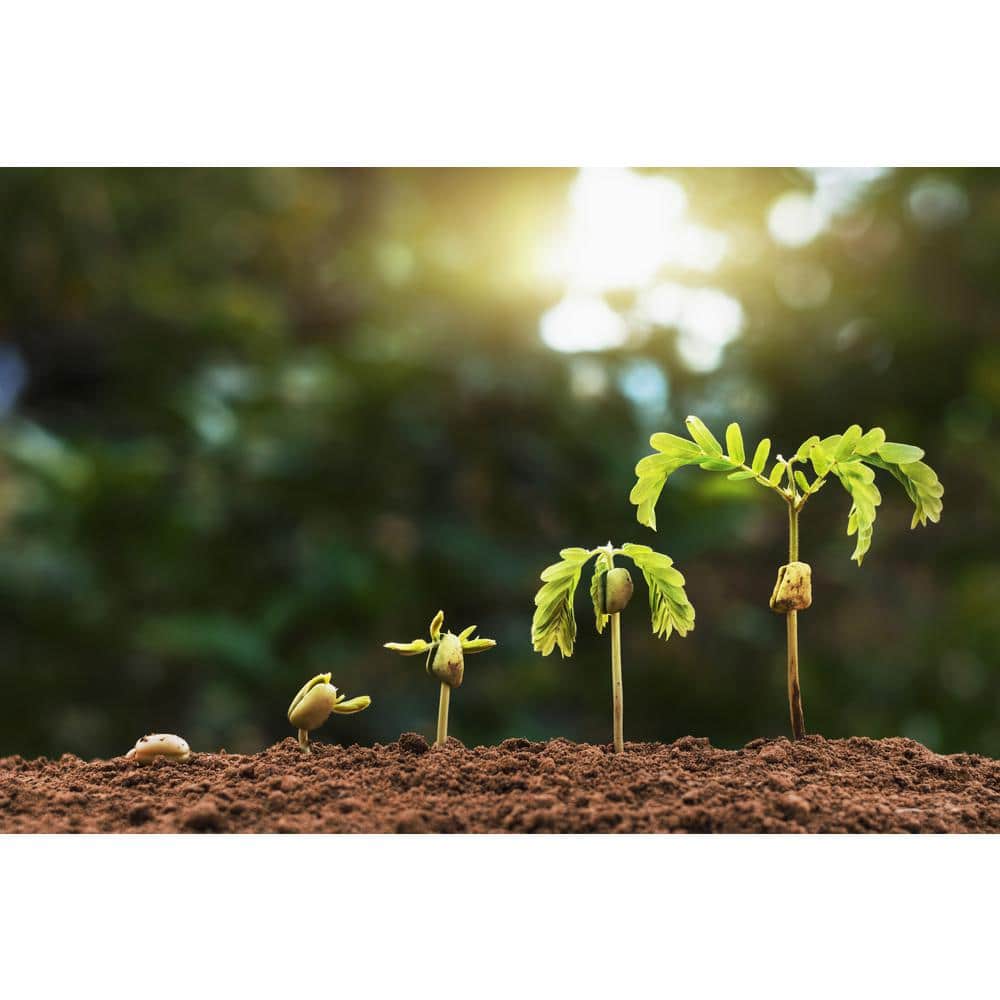 1 cu. ft. / 25 lb. Organic Worm Casting Soil - Hercitys