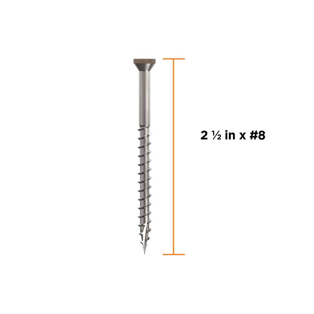2-1/2 in. #8 316 Stainless Steel Winchester Premium Star Drive Trim Screws (350-Count) - Hercitys