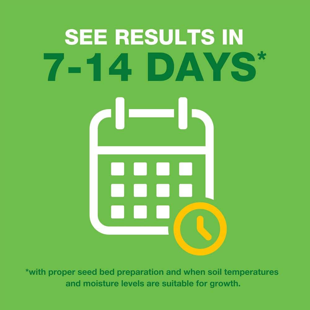 10 lbs. Patch and Repair Tall Fescue Grass Seed Mix - Hercitys