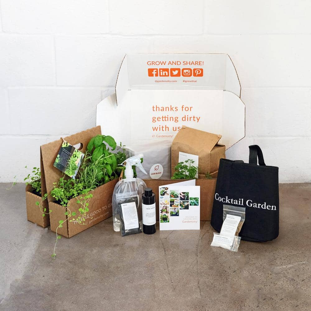 5 Gal. Portable Outdoor Container Cocktail Garden Grow Bag Kit with 4 Seasonal Herb Plants - Hercitys