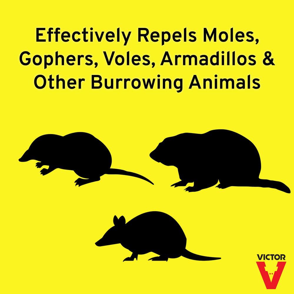 10 lbs. Mole and Gopher Repellent Granules - Hercitys
