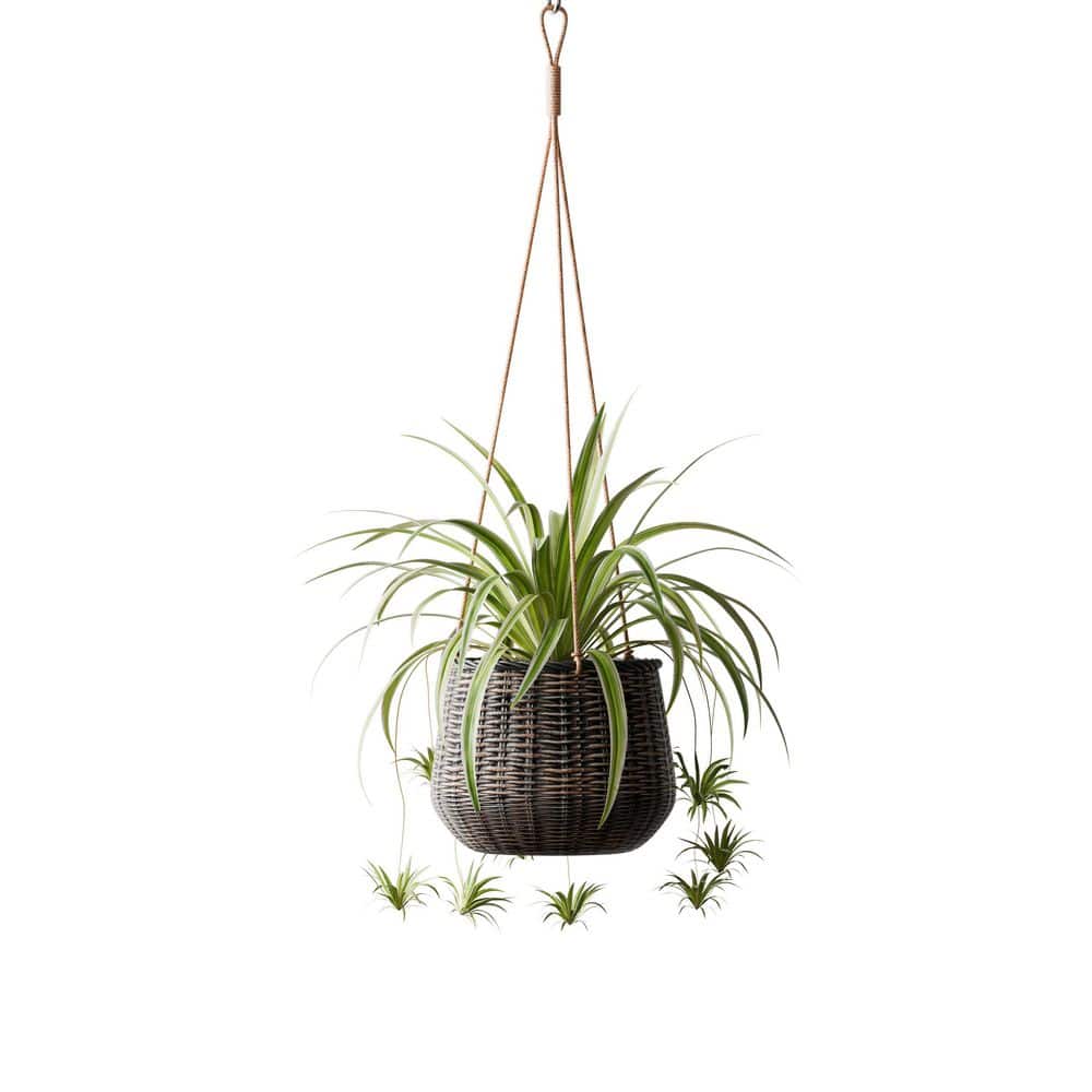 13 in. W Indoor Outdoor Brown Resin Rattan Hanging Basket Planter with Black Accents - Hercitys