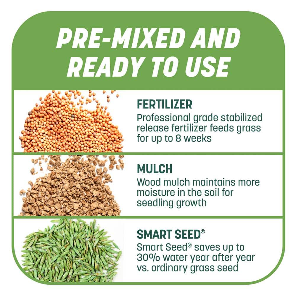 10 lbs. Smart Patch Tall Fescue West Grass Seed with Mulch, Fertilizer - Hercitys