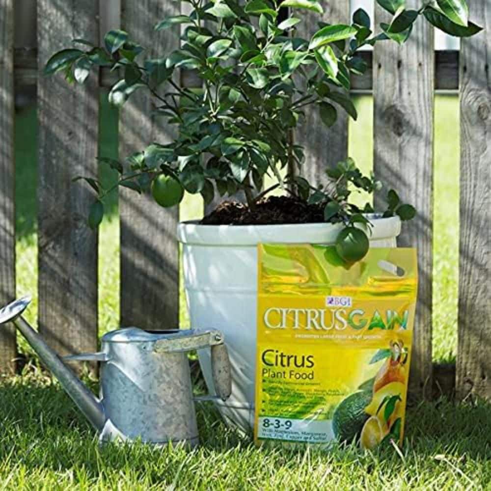 10 lbs. 8-3-9 Citrus Tree and Plant Food Dry Fertilizer - Hercitys