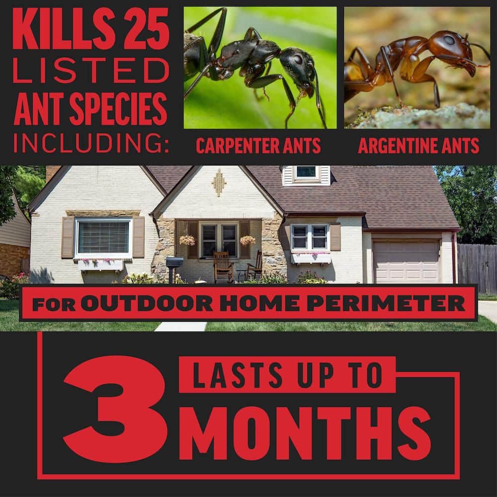 12 oz. 540 lin. ft. Outdoor Ant Killer Granule Bait for Home Perimeters with 3-Month Control - Hercitys
