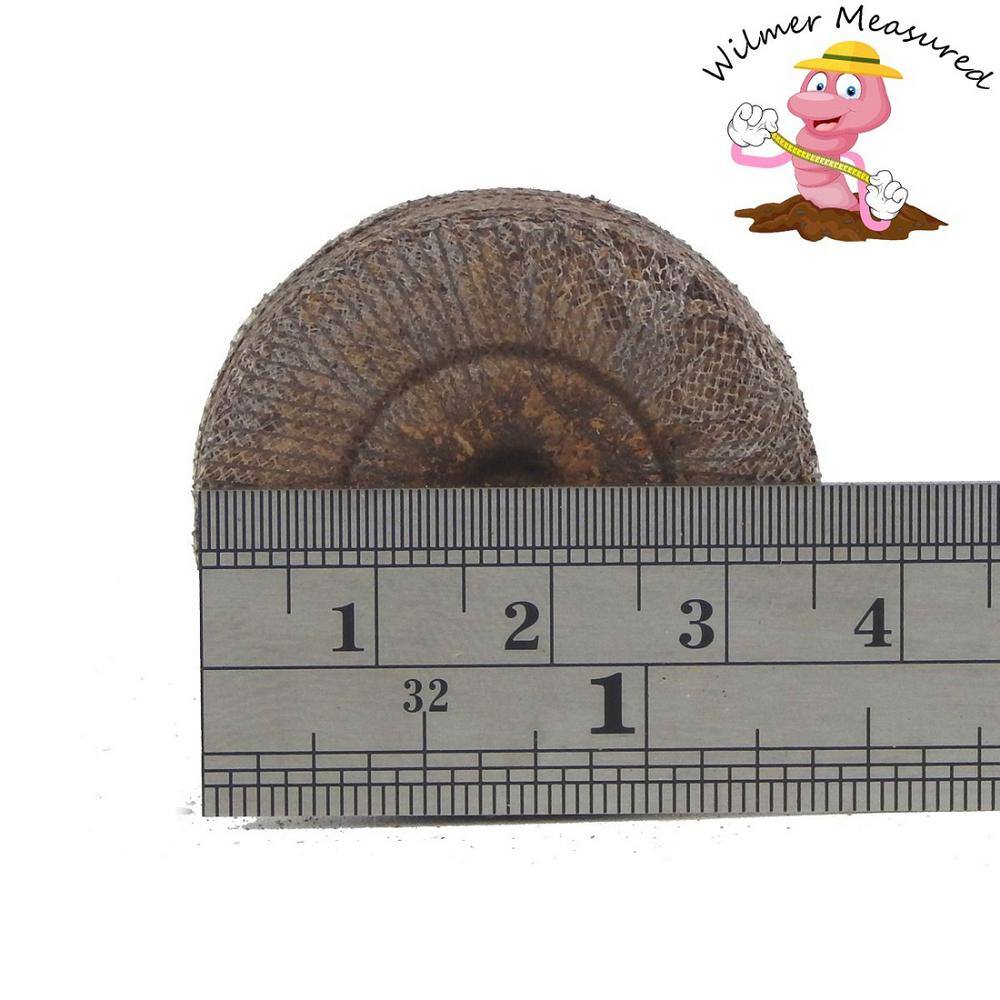 36 mm PEAT Wilmer Worm’s Seed Starting Pellets (36-Pack) - Hercitys