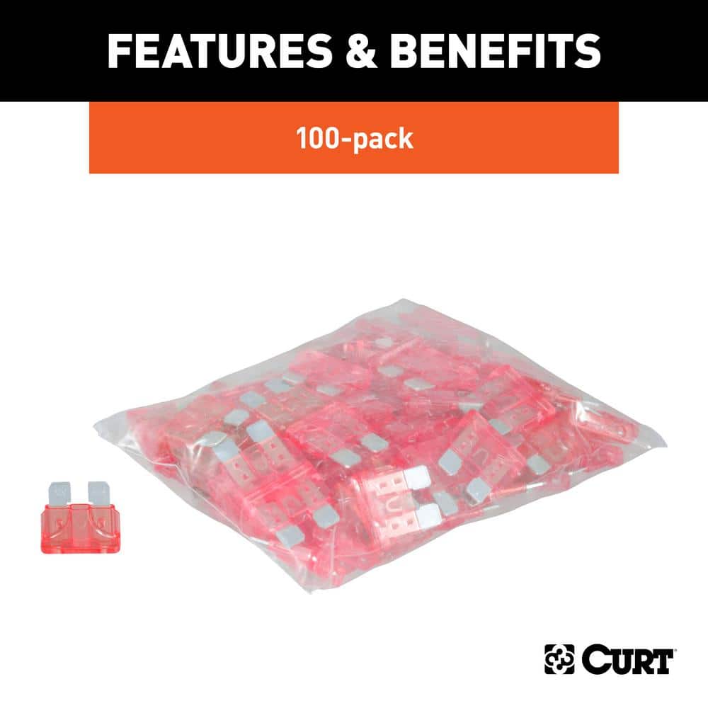 10-Amp Universal Fuses (100-Pack) - Hercitys