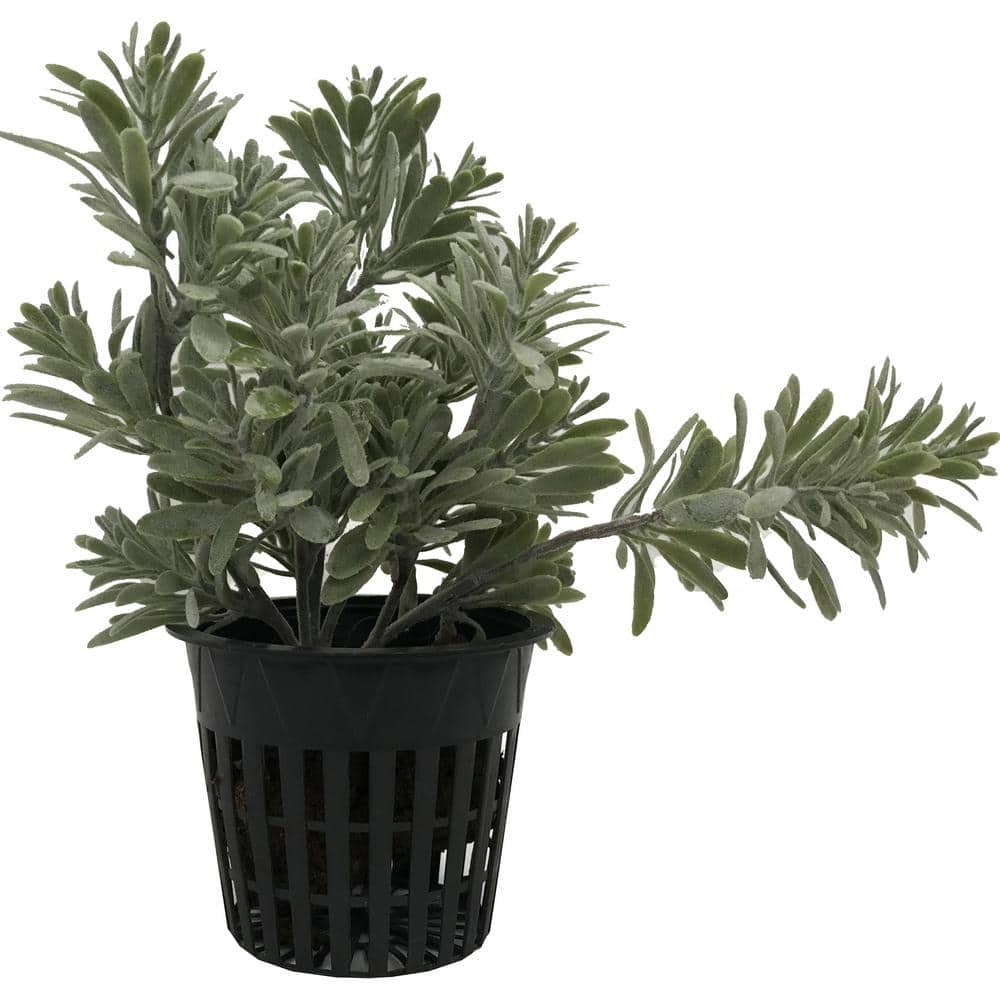 3 in. Black Round Cup with Slotted Black Plastic Mesh Net Pot (50-Pack) - Hercitys