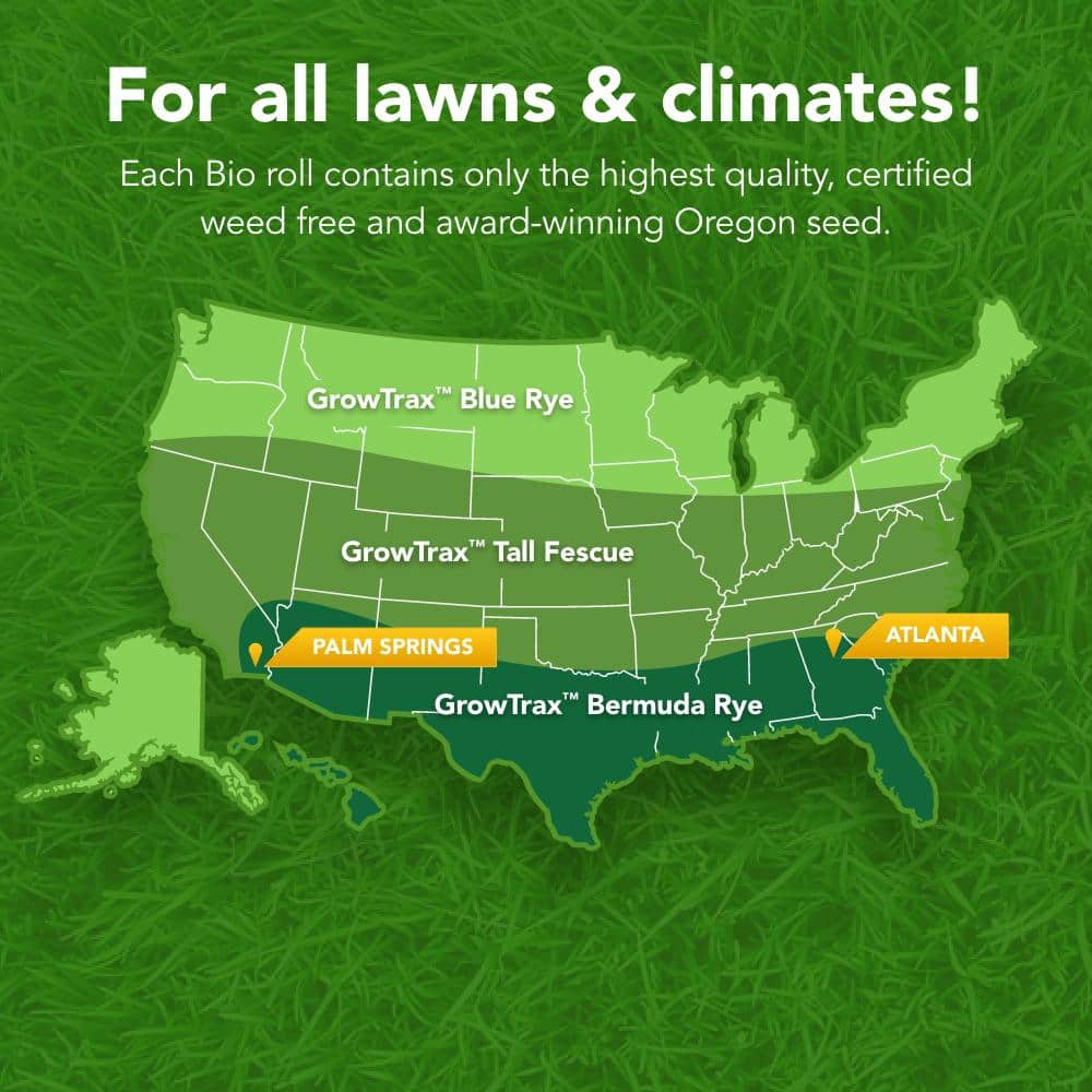 100 sq. ft. Big Roll Bermudarye Mixture - Hercitys