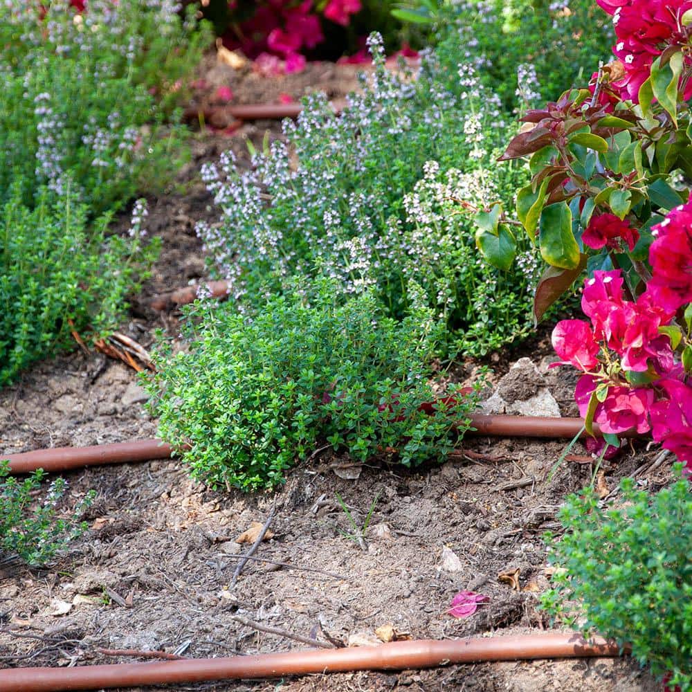 1/2 in. x 250 ft. 1-GPH Pressure Compensating Emitter Tubing with 18 in. Spacing - Hercitys