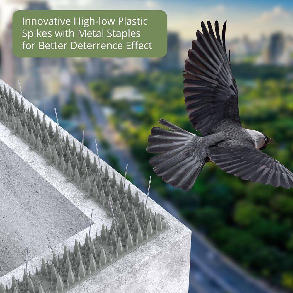 12 in. x 2.1 in. Plastic Bird Spikes Deterrent, 20 ft. 3200 Spikes to Keep Birds Away and Deter Barn Swallows (20-Pack) - Hercitys
