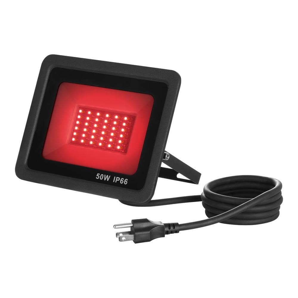 50-Watt Multi-Colored LED Floodlight - Hercitys