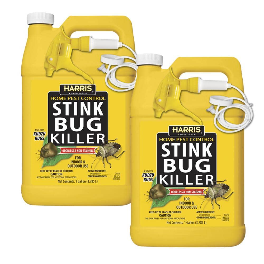1 Gal. Stink Bug Killer (2-Pack) - Hercitys