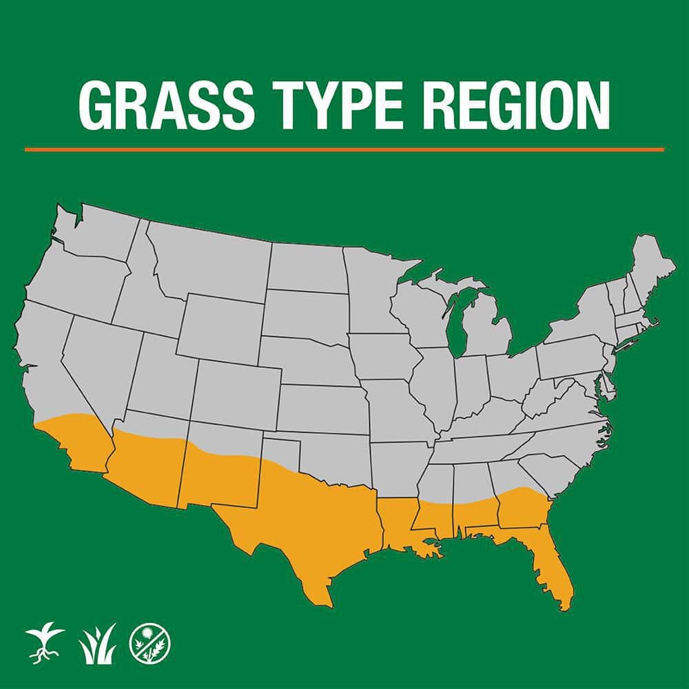 1 lb. Bermuda Grass Seed Blend with Water Saver Seed Coating - Hercitys