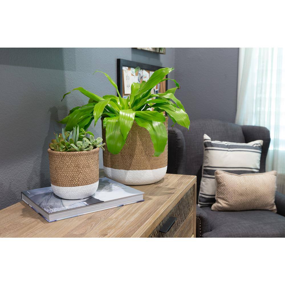 10 in. White and Natural Reed Round Cement Planter - Hercitys