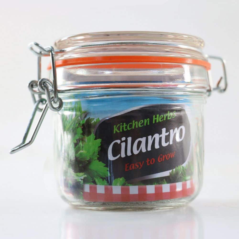 3.3 in. Cilantro Culinary Kitchen Herb Seed Grow Kit - Hercitys