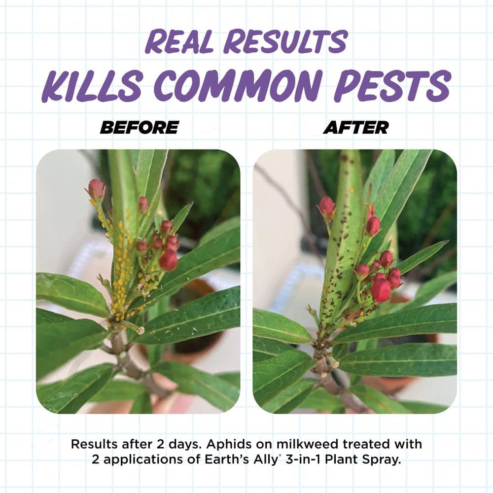 1 qt. Concentrate Insecticide, Miticide, Fungicide 3-in-1 Plant Spray - Hercitys