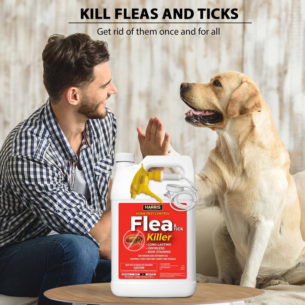 1 Gal. Flea and Tick Killer (3-Pack) - Hercitys