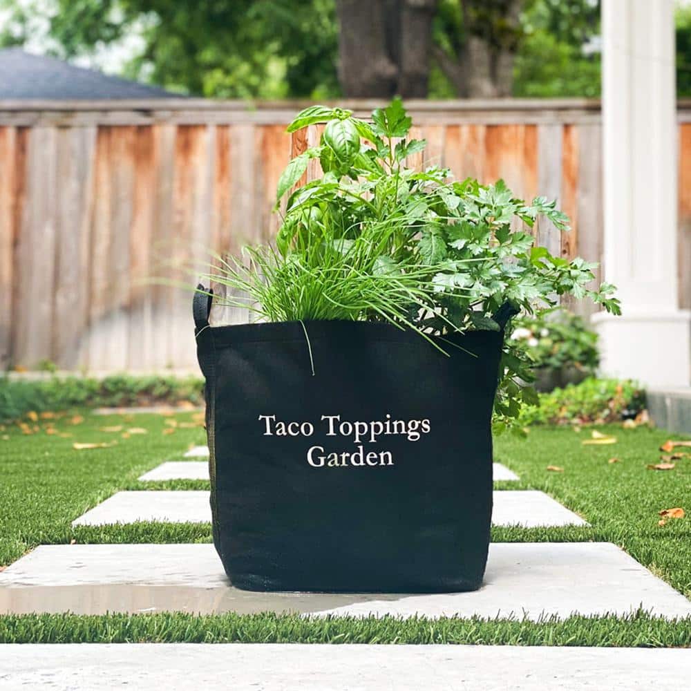 5 Gal. Portable Outdoor Taco Toppings Grow Bag Garden Kit with Vegetable and Herb Plants - Hercitys